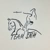 @voltigeteamsnh